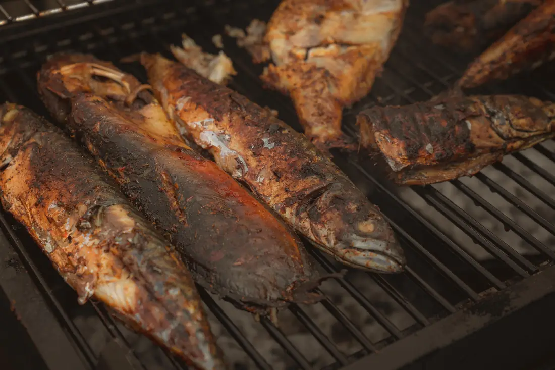 Mackerel and fish grilling over charcoal